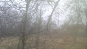 На места в област Габрово има мъгла облачно и дъждовно