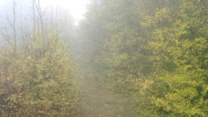 Нови валежи