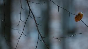 Времето тази седмица Баба Марта напомня за себе си