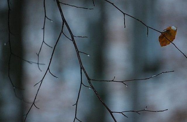 Времето тази седмица: Баба Марта напомня за себе си