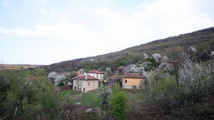 Изоставена България