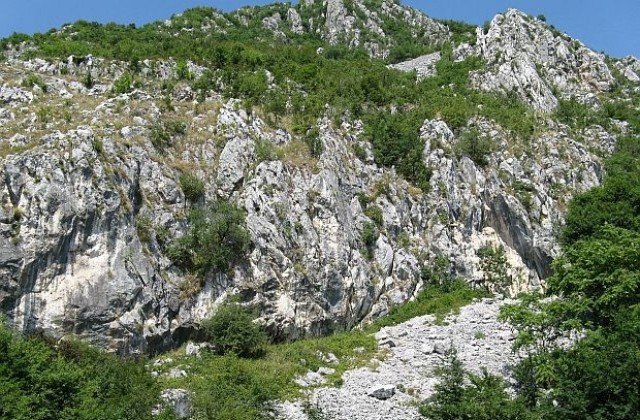 Българите не вярват, че политиците и бизнесът полагат усилия за опазването на природата