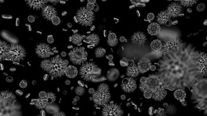 Съживиха вирус на 30 000 години