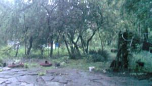 Ново застудяване в края на тази седмица