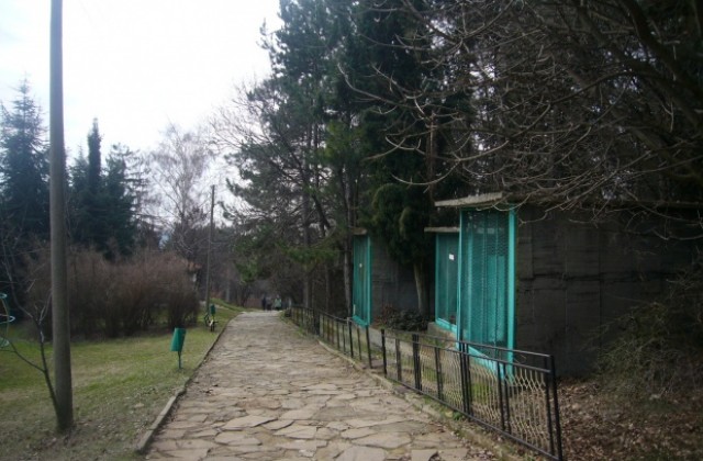 Започна кампанията за даряване на средства за Зоопарка