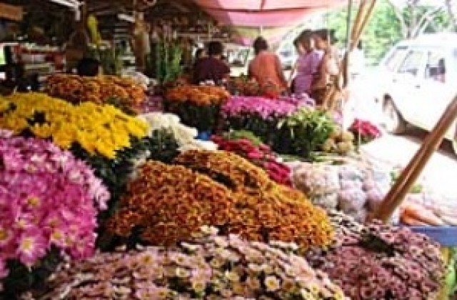 Данъчни проверяват магазините за цветя