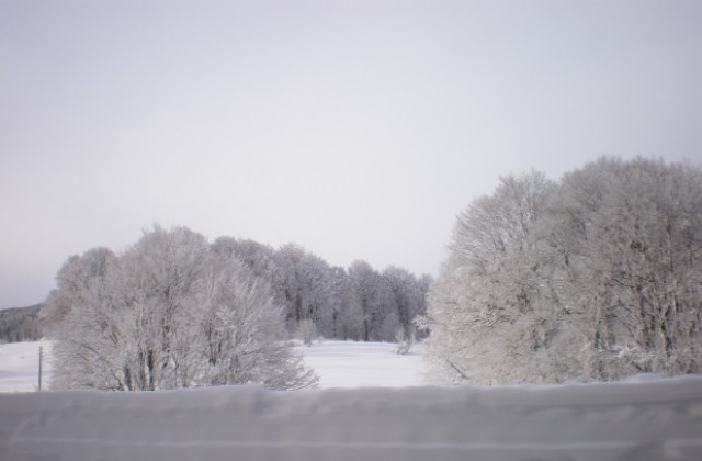 Сняг валя само в Осоговската планина