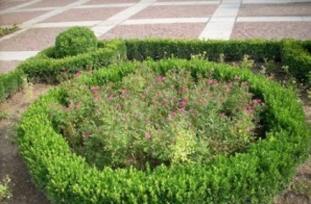 Община В. Търново кани гражданите да облагородят междублоковите пространства и градинките си