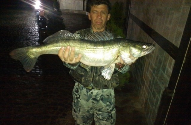 Еленчанин улови 4-килограмова бяла риба