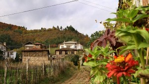 Експертът Йорданка Стефанова консултира земеделци от Сухиндол