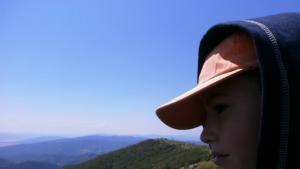 Кукленият театър ще дари парите от неделното представление на Дамян