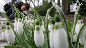 Мартенски сняг над Габрово