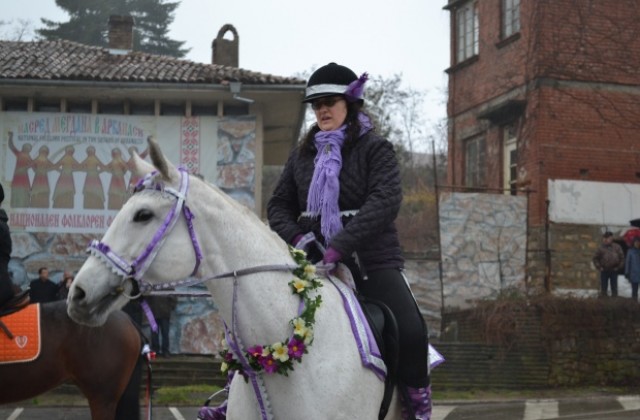 Избраха Квеле за най-гиздав кон в Арбанаси