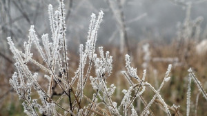 Идва студен въздух