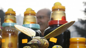 Благотворителен базар за мед в двора на БЧК