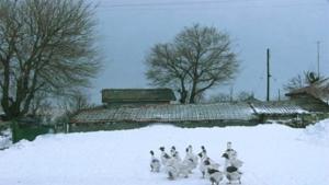 Токът в малките села на общините Габрово и Дряново е