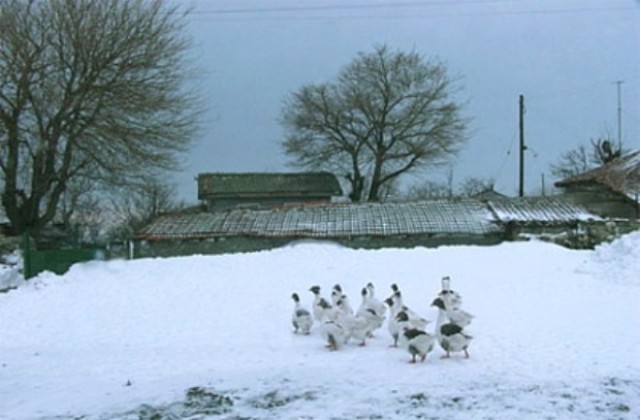 Токът в малките села на общините Габрово и Дряново е възстановен