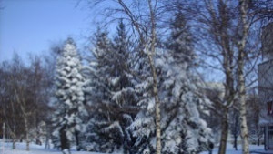 Републиканските пътища в областта са проходими но при зимни условия