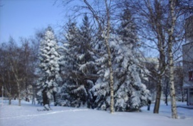 Републиканските пътища в областта са проходими, но при зимни условия