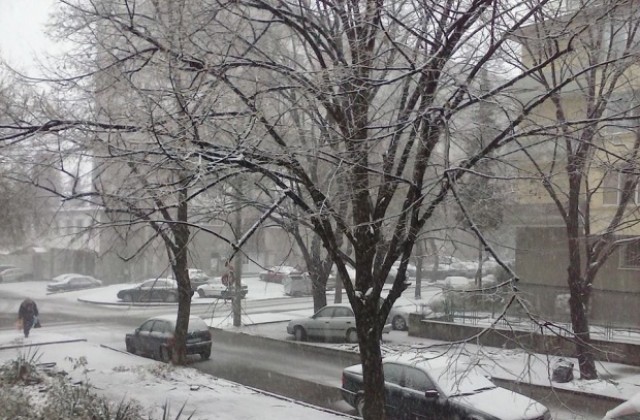 Падналият сняг в Стара Загора не създаде затруднения
