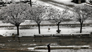 46 машини чистят столицата от снега