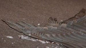 Разработват лазери за унищожаване на космическия боклук