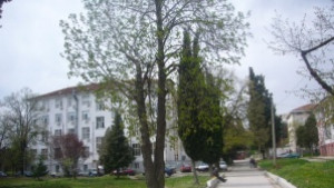 Обраха 60годишна жена в двора на болницата