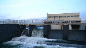 Пъстърви служат за биоиндикатор на питейната вода в София