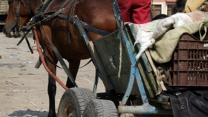 Полицията арестува двама мъже със съмнително поведение след сигнал на