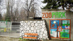 Осиновяване на животно от зоопарка от 30 до 875 лева