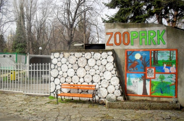 Осиновяване на животно от зоопарка – от 30 до 875 лева