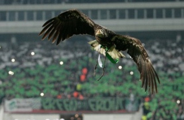 Орелът и Крисия вдигнаха настроението на 40 хиляди фенове