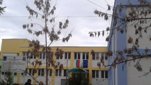 Директорката на градината със синьото мляко подаде оставка