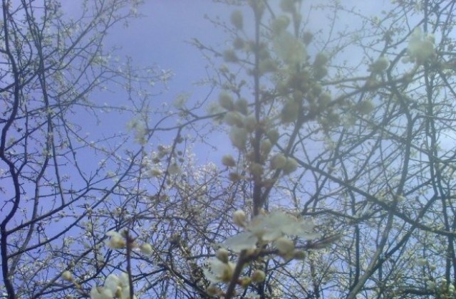 Вятър, променлива облачност, слабо застудяване