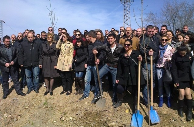 40 нови дръвчета засадиха младежи на ГЕРБ от цяла Северна България