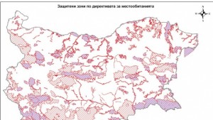 Показват редки растения във фотоизложба