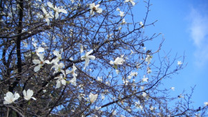 Остава слънчево температурите още нагоре