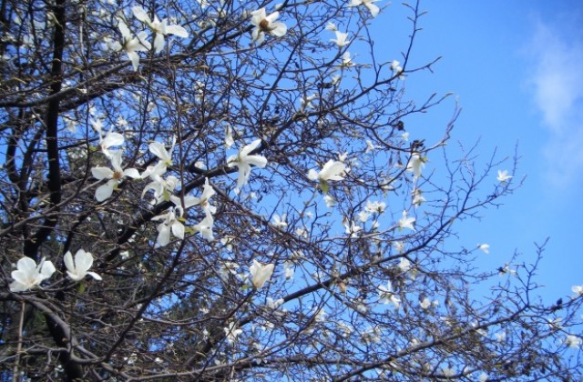 Остава слънчево, температурите още нагоре