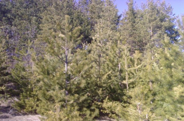 Слънчево и топло време