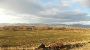 Отпуснаха 62 000 лв за стадиона в Овчарци