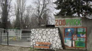 Водят тигрицата Найша при Геро