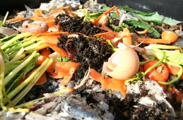 Как управляваме биоразградими отпадъци