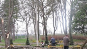 Силният вятър събори дървета и покриви в Благоевградско