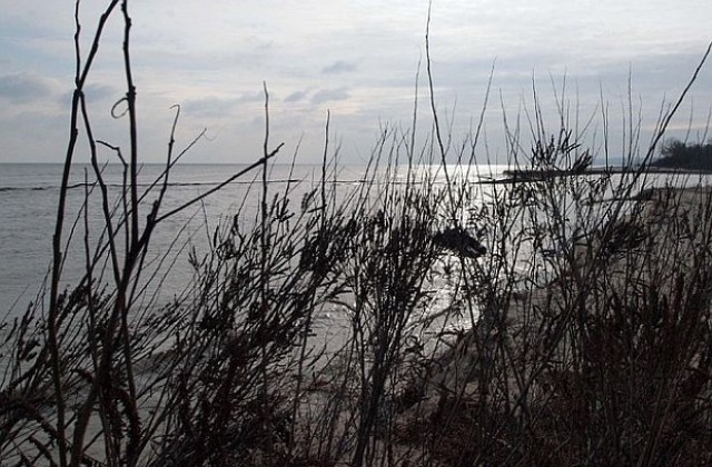 Инвеститорът за строежа край Карадере