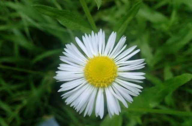 Още по-топло време в петък