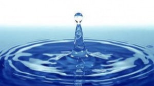 В ОУ Отец Паисий отбелязват Световния ден на водата