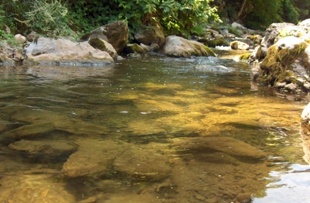Отбелязват Световният ден на водата – 22 март