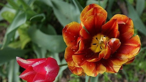 Слънчева и топла събота