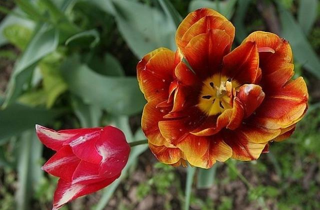 Слънчева и топла събота