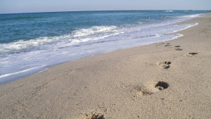 Проектът за Карадере е съобразен с екологичните норми твърди финансов